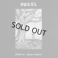 Oskal - Stahlkrieg / Blazes of Sunset / CD