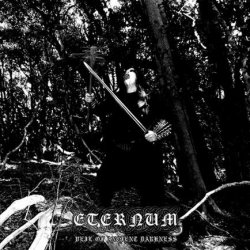 画像1: Eternum - Veil of Ancient Darkness / CD
