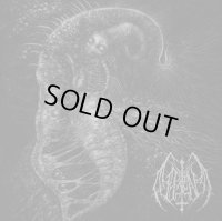 Ill Omen - Divinity Through Un-creation / CD