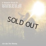 V/A - A Hungarian Tribute To Burzum: Life Has New Meaning / CD