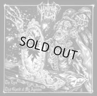 Vintage Flesh - The Eyes That Glared at My Agonies / CD