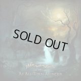 When Nothing Remains - As All Torn Asunder / CD