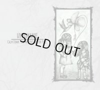 Hypomanie - Calm Down, You Weren't Set on Fire / DigiCD