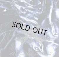 Order of the Ebon Hand - The Mystic Path to the Netherworld / CD