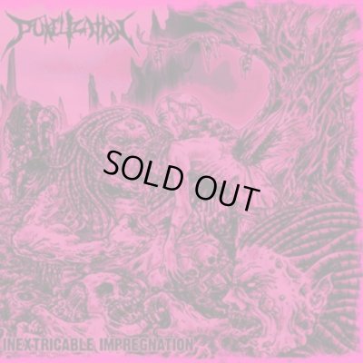画像1: Pukelization - Inextricable Impregnation / CD