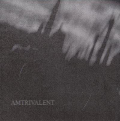 画像1: Lifeless Within / Negative Or Nothing / Fliegend - Amtrivalent / CD