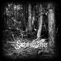 Sea of Trees - Aokigahara / CD