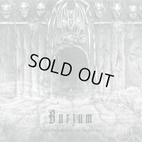 Burzum - From the Depths of Darkness / DigiCD