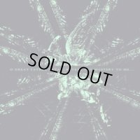 Abigor - Time is the Sulphur in the Veins of the Saint... / DigiCD