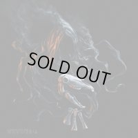 Arckanum - Helvitismyrkr / CD