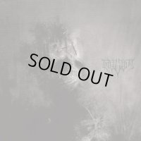 Infestus - E x ｌ I s t / CD