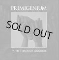 Primigenium - Faith Through Anguish / CD