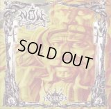 Now - Nowia / CD
