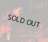 Lucifugum - ...а колесо всё cкрипит... (...and the Wheel Keeps Crunching...) / DigiCD