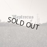 Neptrecus - Neptrecus / CD-R