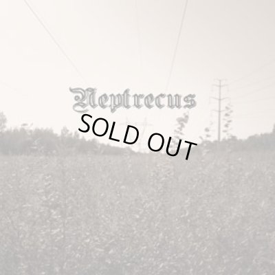 画像1: Neptrecus - Neptrecus / CD-R