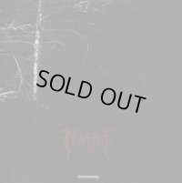 Nachtruf - Geistwerdung / CD