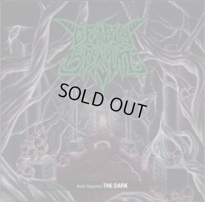 画像1: Deadly Spawn - From Beyond the Dark / CD