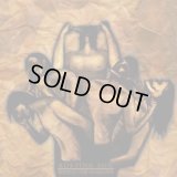 Rusting Sun - Behind the Shadows / DigiCD