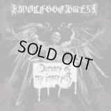 Wolfsschrei - Demons of My Inner Self / CD