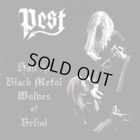 Pest - Hail The Black Metal Wolves Of Belial / CD