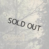 Dammerfarben - Herbstpfad / DigiCD