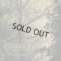 Dammerfarben - Herbstpfad / DigiCD