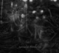 Dark Opus - Ignominious Fundamentals / DigiSleeveCD