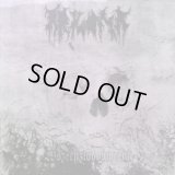 Arkona - Wszechzlodowacenie / CD