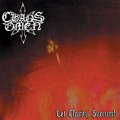 Chaos Omen - Let Clarity Succumb / CD
