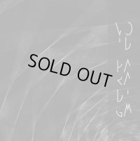 Void Paradigm - Void Paradigm / CD