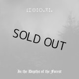 Aisuragua - In the Depths of the Forest / CD-R