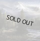 Elderwind - Волшебство живой природы / CD