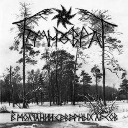 画像1: Temnovrat - В молчании северных лесов / CD