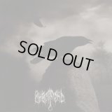 Vyvoroten - С последней каплей талой воды / В землю / CD