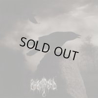 Vyvoroten - С последней каплей талой воды / В землю / CD