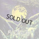 Ulver - Nattens madrigal - aatte hymne til ulven i manden / CD