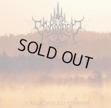 Stormheit - Caelic Weold Finnum / CD