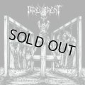 Irreverent - Blasphemous Crucifix Profanation / CD