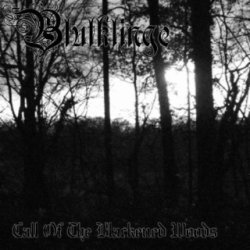 画像1: Blutklinge - Call of the Blackened Woods / DigiCD