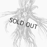 Botanist - IV - Mandragora / DigiSleeveCD