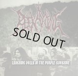 Reexamine - Laughing Dolls In The Purple Sunshine / CD