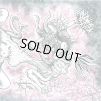 [ZDR 021] Fatal Desolation / OiDAKi - Split / 7inchCaseCD