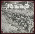 Nethervoid - In Swarms of Godless Wrath / CD