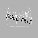 Udumbal - From Beyond MXMVIII-MMVIII / 4CD