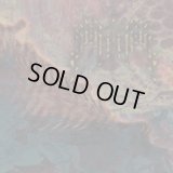 Fanisk - Insularum / DigiCD