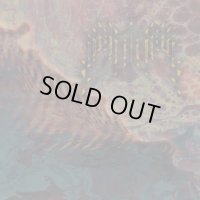 Fanisk - Insularum / DigiCD