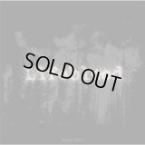 Lifeblood - Demo 2013 / CD-R