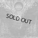 Khladnovzor / In Tenebriz - Ветер Забвений / Ventus Oblivioni / CD