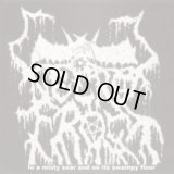 Necrofrost - In a Misty Soar and on Its Swampy Floor / CD